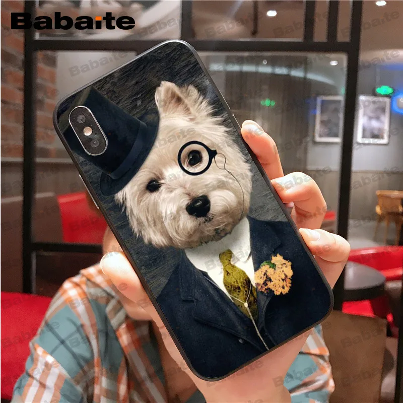 Westie dog