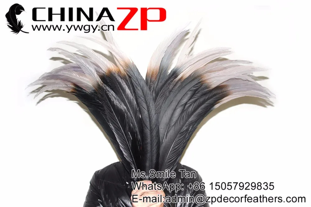 65-70cm silver pheasant feathers with grey tip (20)
