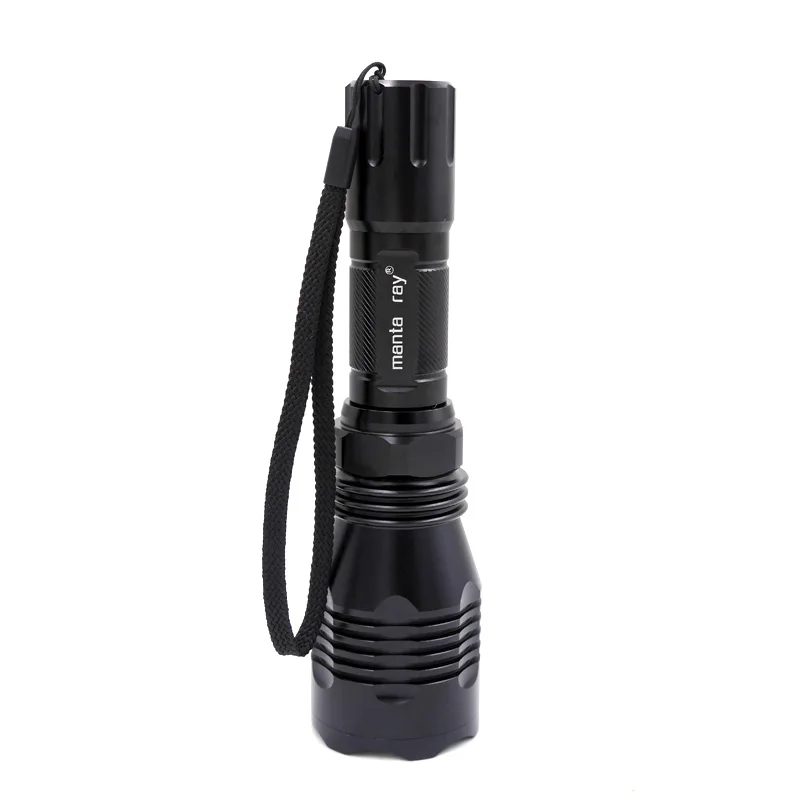 Manta Ray 802 (6)