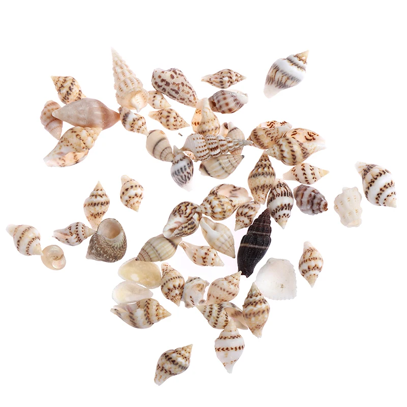 

Mini Conch Simulation Beach Shell Model Furniture Toys for Doll House Decoration 1/12 Dollhouse Miniature (About 50Pcs)