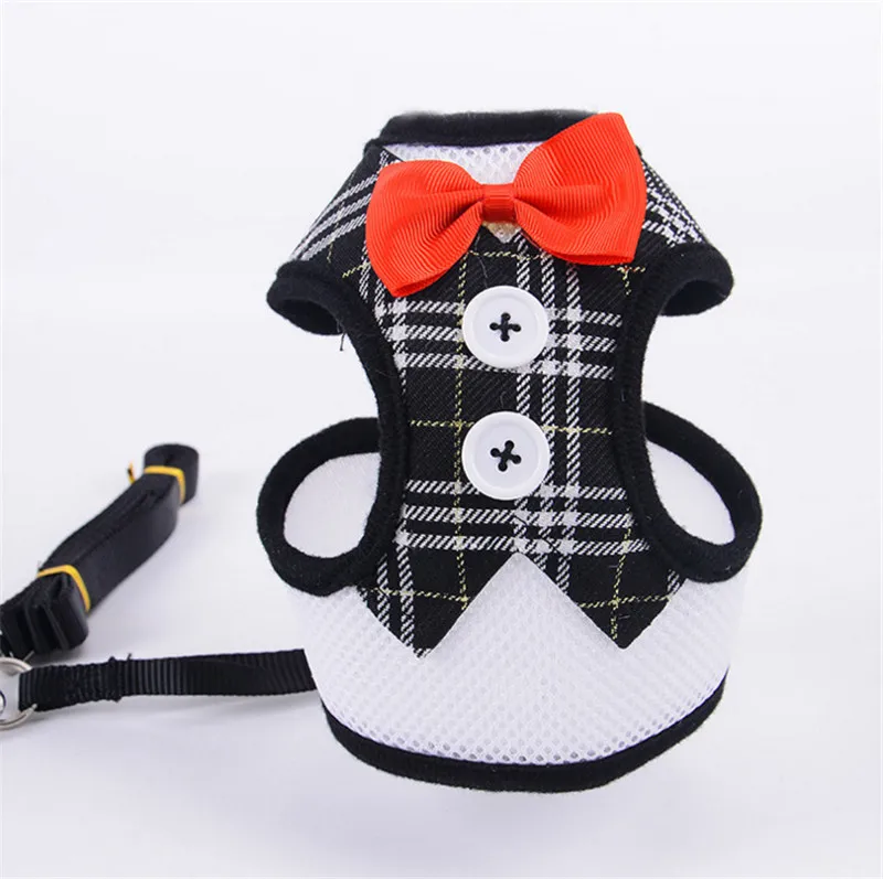 leash for dog (5)