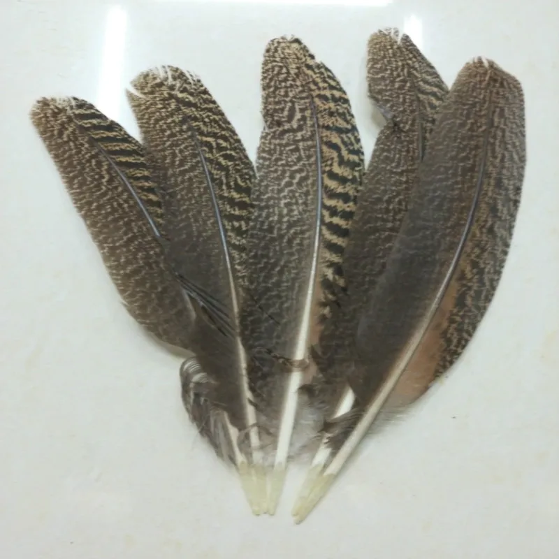 

Wholesale 10 Pcs high quality scare natural owl eagle feathers 30-35CM 12-14inch Pheasant feather Diy jewelry Wedding decoration