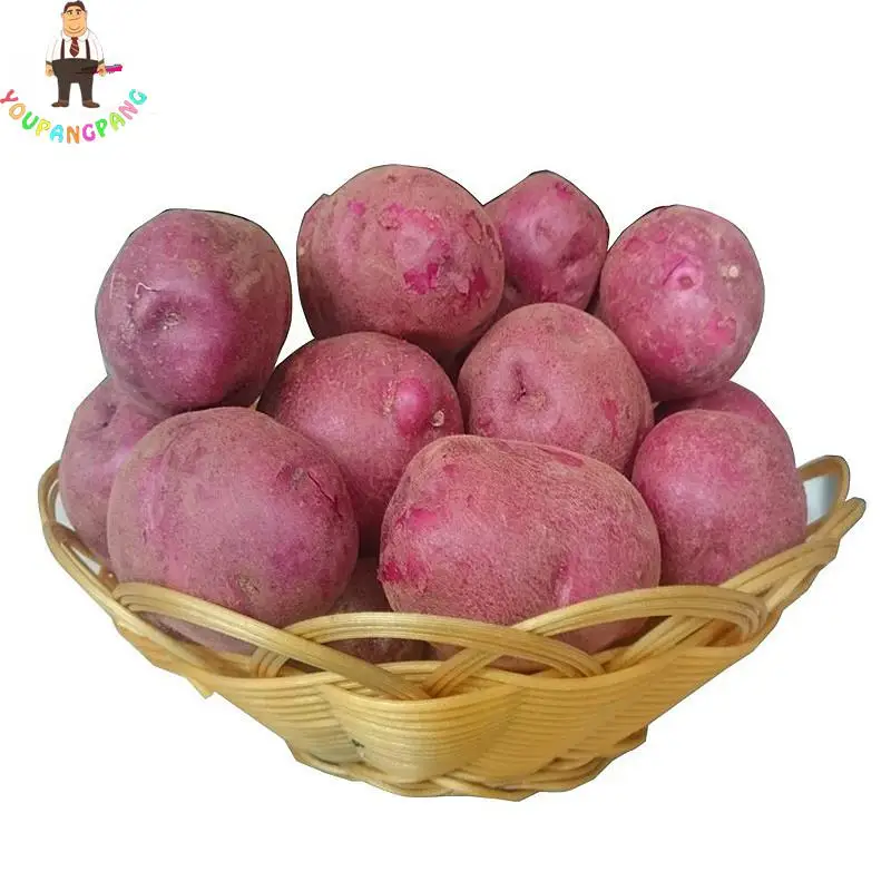 100pcs Giant Purple Potato plants Perennial Bonsai Tree Anti-wrinkle Vegetable planting For Home Garden 100pcs Giant Purple Potato plants Perennial Bonsai Tree Anti-wrinkle Vegetable planting For Home Garden
