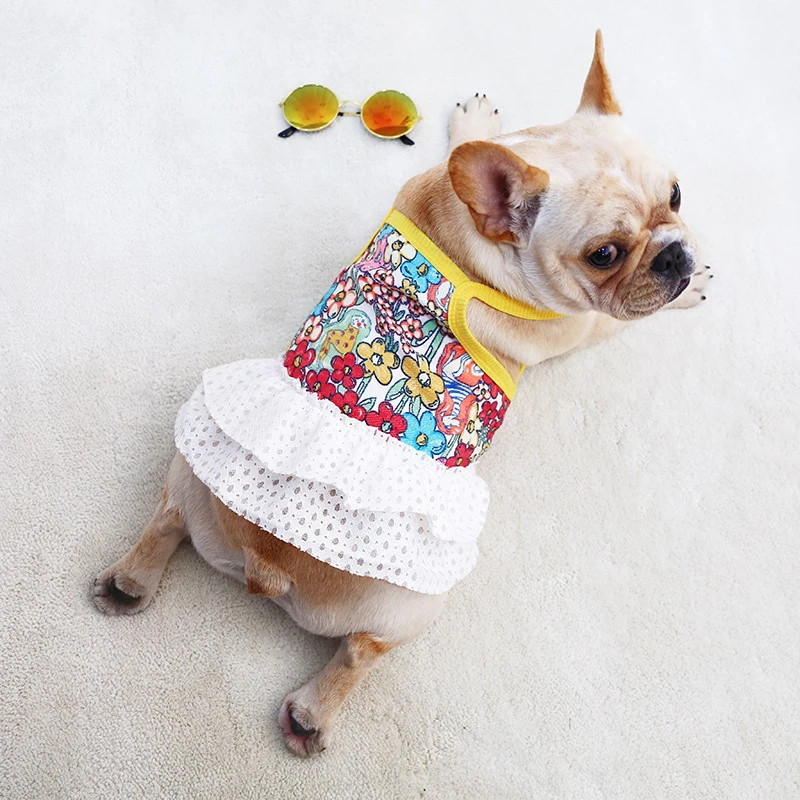 American bully outfits Clearance