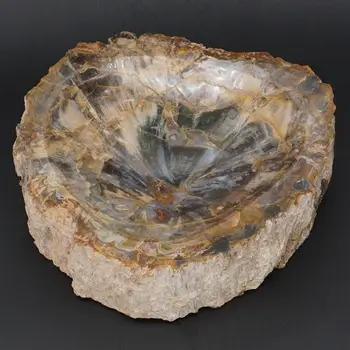 

6.3" Natural Wood Fossil Polished Retro Ashtray Or Soapbox Home Office Decor