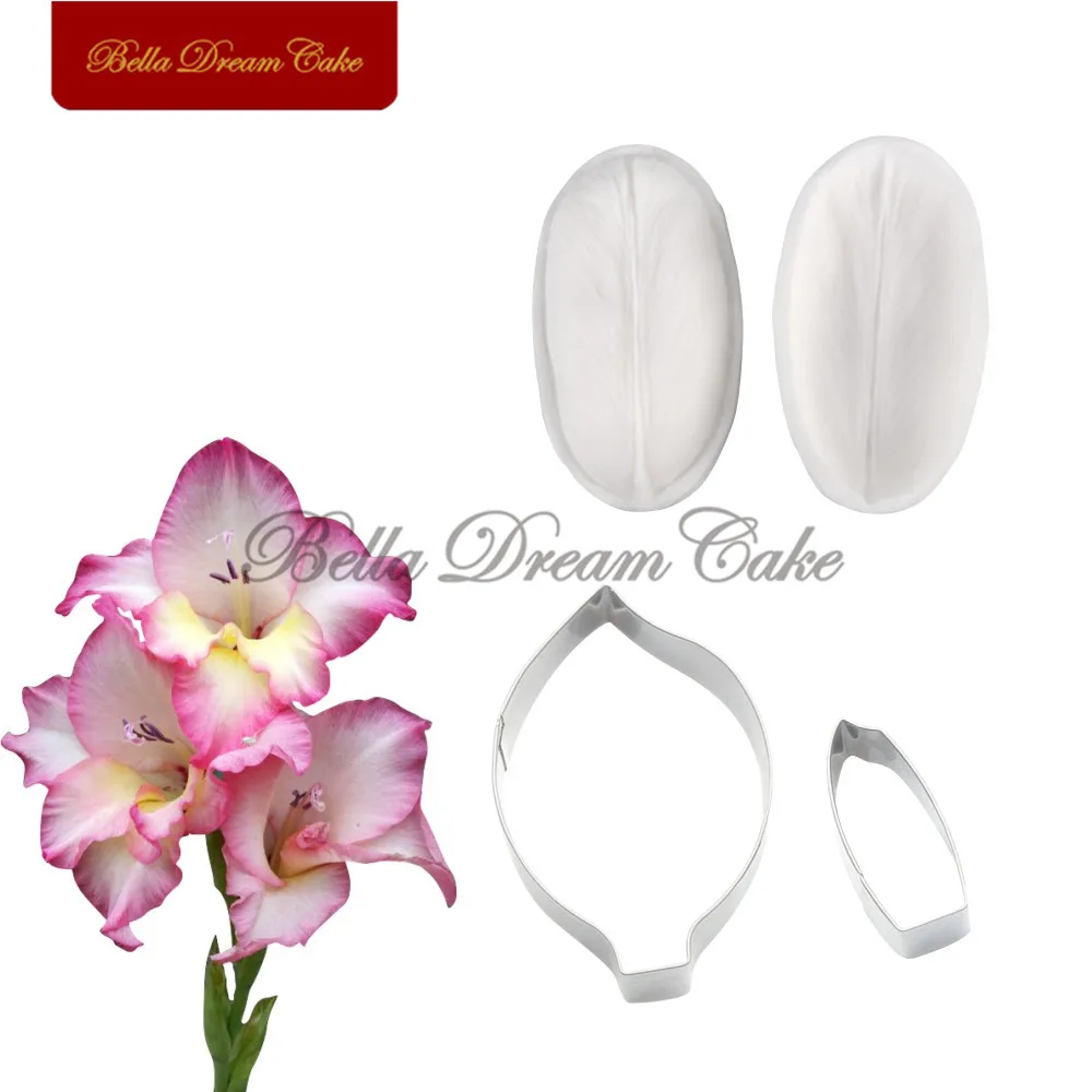 Gladiolus-1