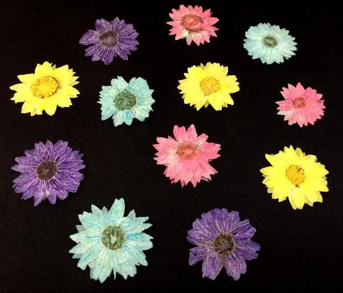 

Pressed Dried Chrysanthemum Flowers Plant Herbarium For Jewelry Postcard Invitation Card candle making