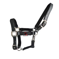 Horse Riding
