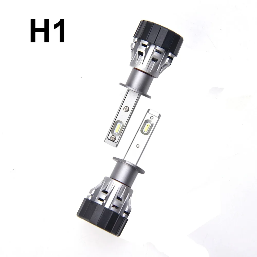 H1