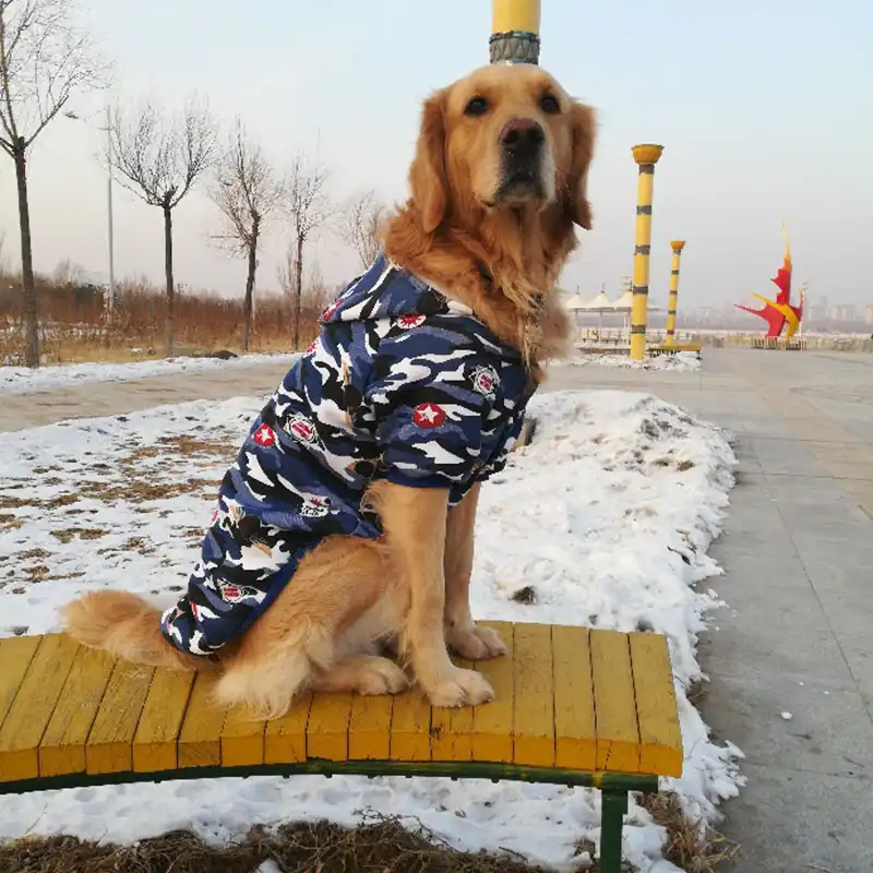 dog sweaters for rottweilers