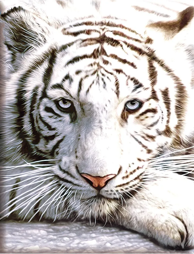 5D DIY Mosaic Diamond Painting Animal white tiger Embroidery Rhinestone Cross Stitch Hand made home Decor yes1469 | Дом и сад