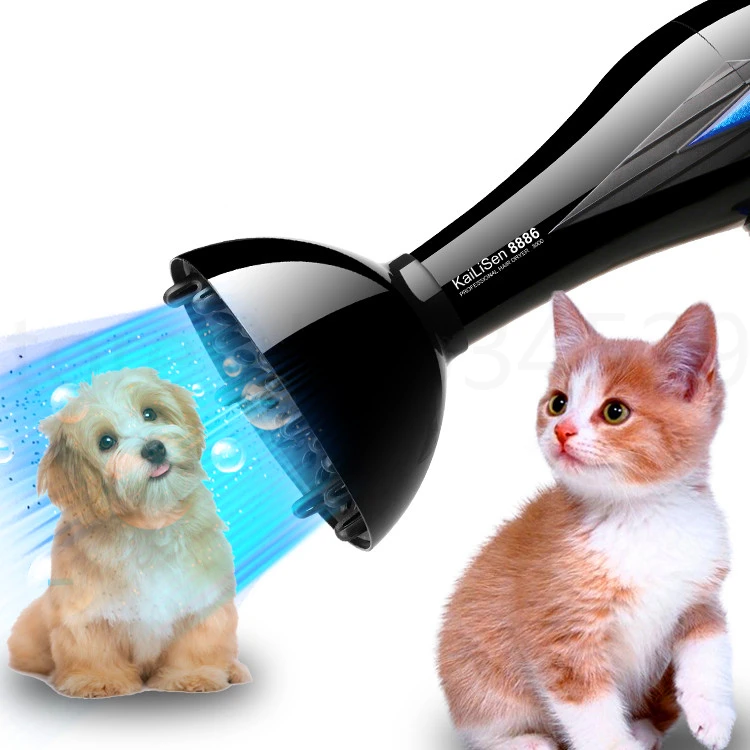 

p02 High power pet dryer mute dog hair dryer golden Teddy special drying machine household bath products