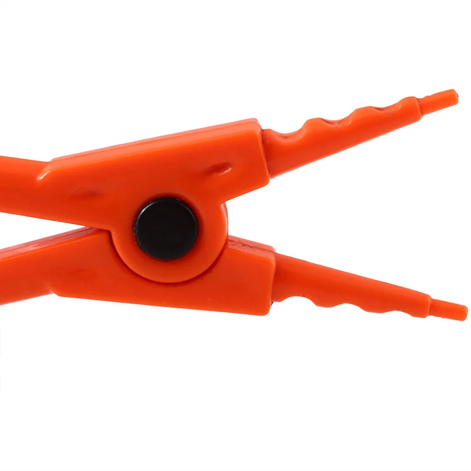 3725454866_764914932