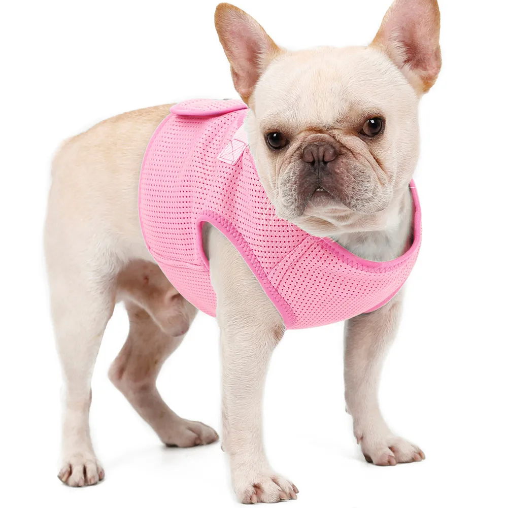 

Beautiful Pet Dog Clothes Breathable Mesh Puppy Walking Vest Harness with D-ring LXY9