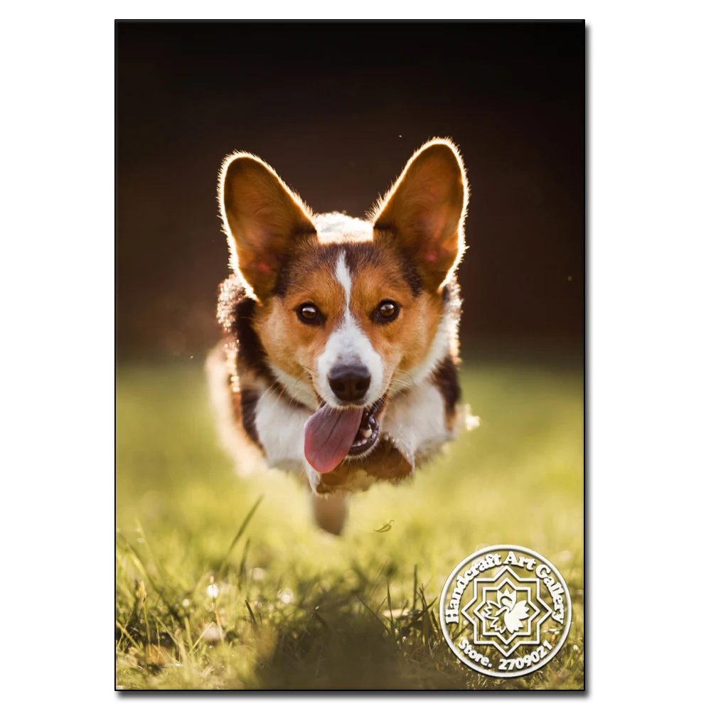 

Full 5D DIY Diamond Painting Cross Stitch Dog Diamond Embroidery Round Animal Beads Patterns Picture of Rhinestones Handcraft