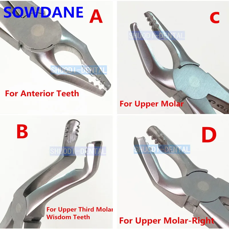 

1 pcs Dental Orthodontic Extraction Forceps Adults Teeth Extracting Pliers Surgical Toothdental Instrument Tool Stainless Steel