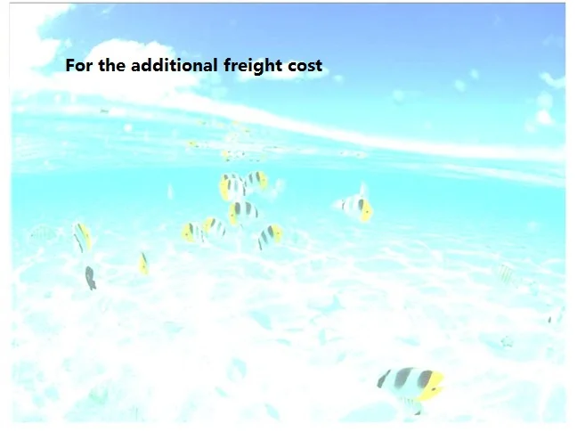 

extra fee for additional the freight cost