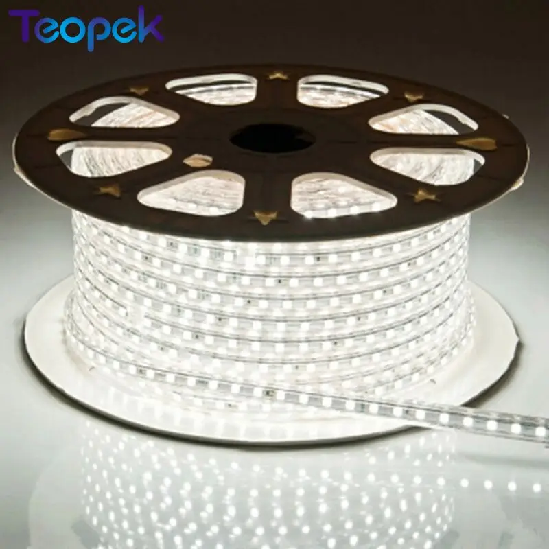 cheap 100M 5050 AC 220V Waterproof IP67 LED Light Strip 60leds m 5050SMD LED Strip Light With Power Plug LED Lights
