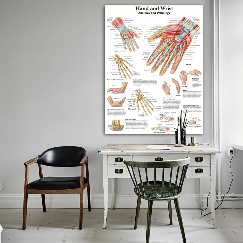 Billig Anatomie Hand Handgelenk Bilder Anatomischen Charts Poster Anatomie Arm Bein Leinwand Druck Wand Bilder Medizinische Bildung Office Home