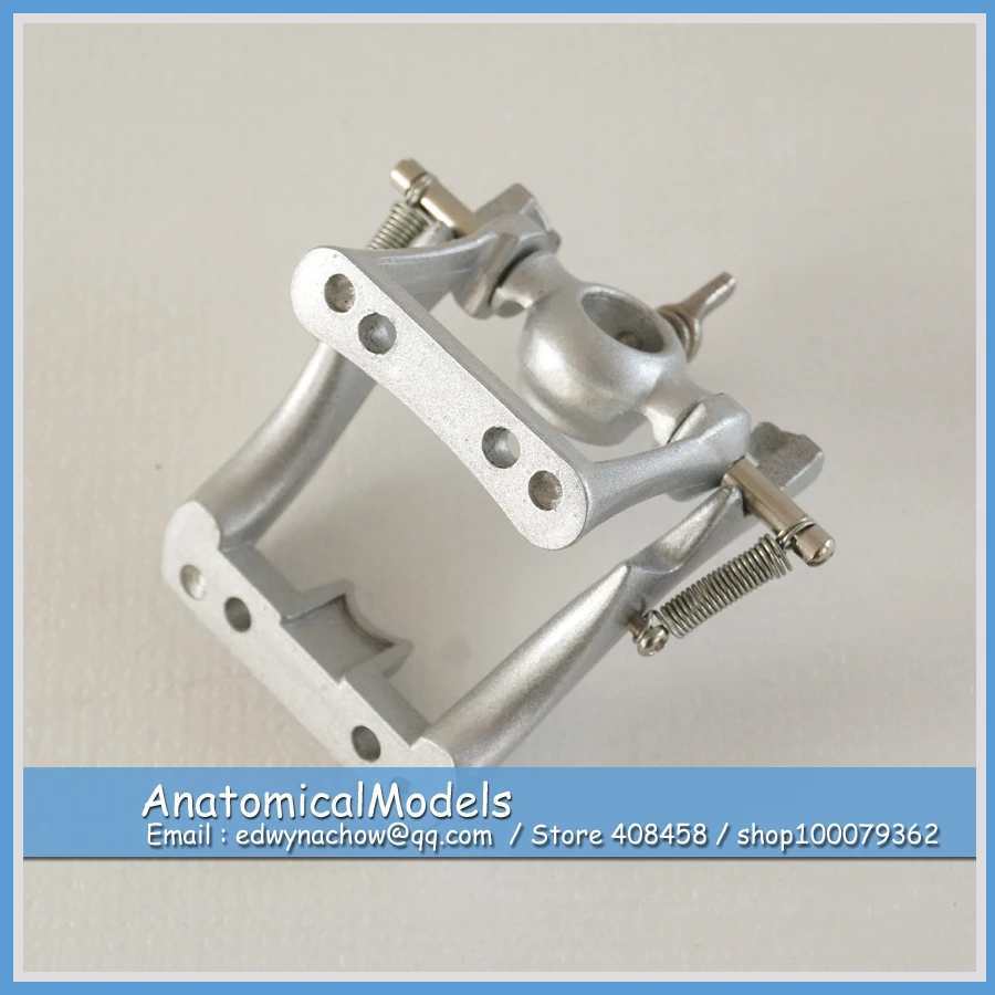 

13175 DH1417 DP Articulator for DP Dental Model, Medical Science Educational Dental Teaching Models