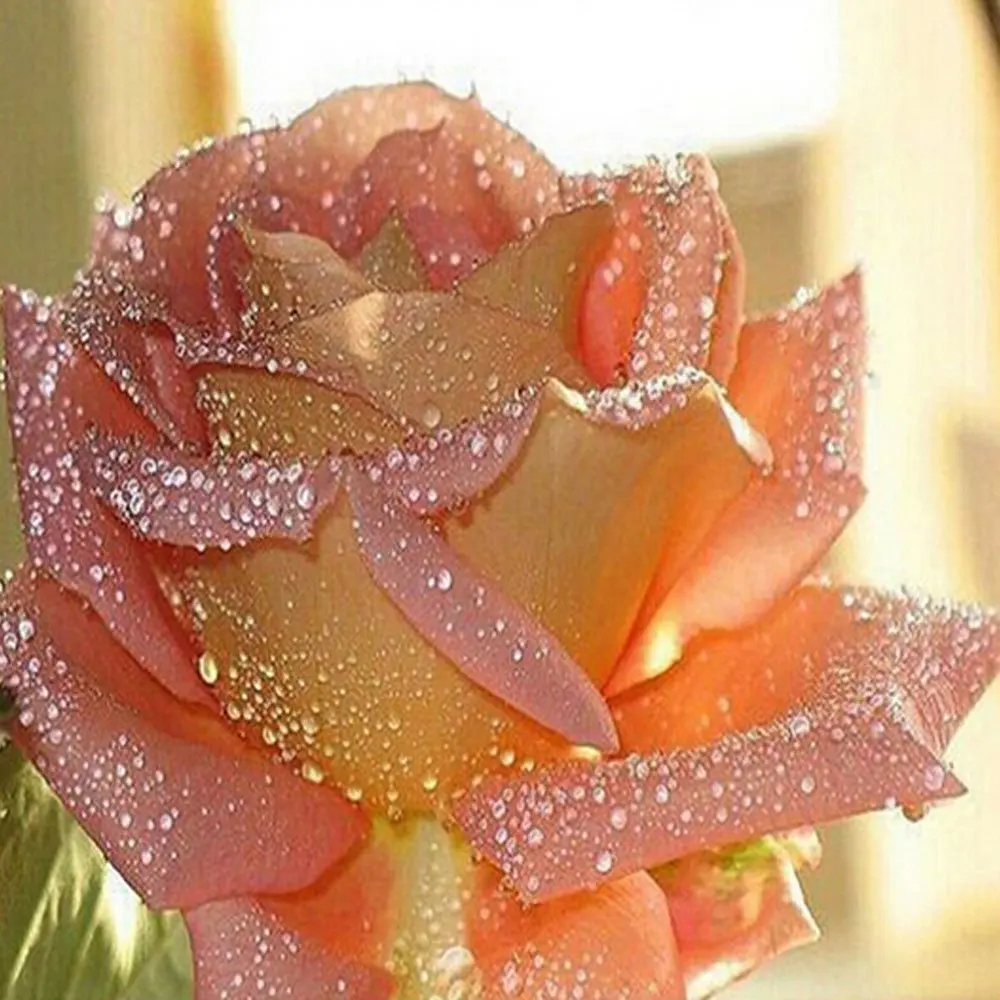 

DIY murals Set Cross Stitch for home decoration with flowers resin rhinestone 30 * 30cm