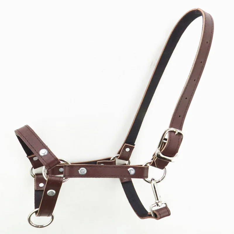 Buy Horse Riding Bridle Leather Crop 1 Piece Strong And Durable Horseback