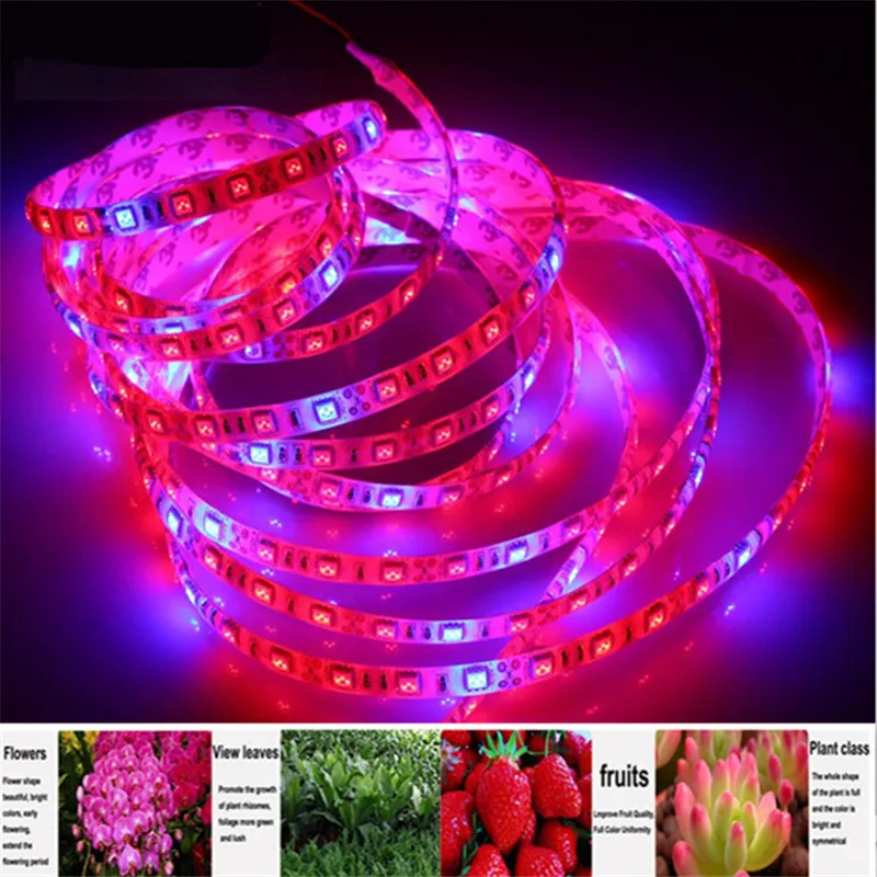

LED Phyto Lamps Full Spectrum LED Strip grow Lights 5M LED Fitolampy Grow Lights Red+Blue 3:1 4:1 5:1 For Greenhouse Hydroponic