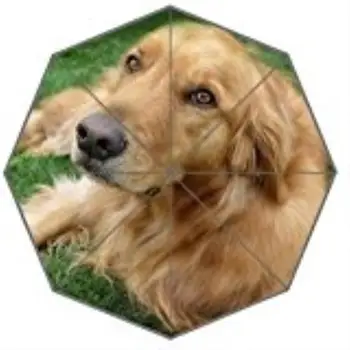 

Custom Puppy Dog Foldable Umbrella Rain Wind Resistant Windproof Floding Umbrella -Auto Foldable Umbrella 100% polyester
