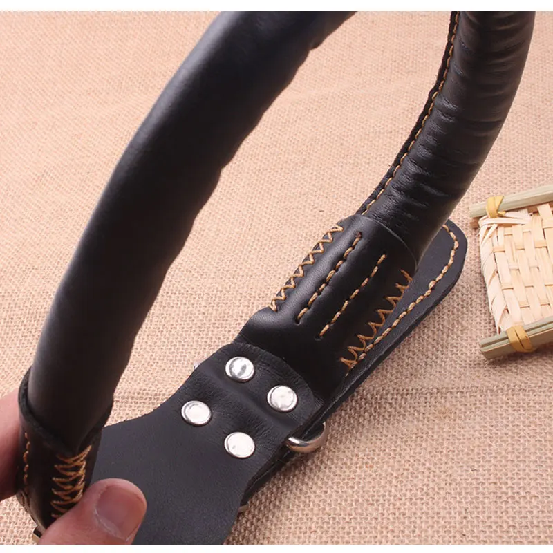 dog collars for big dogs