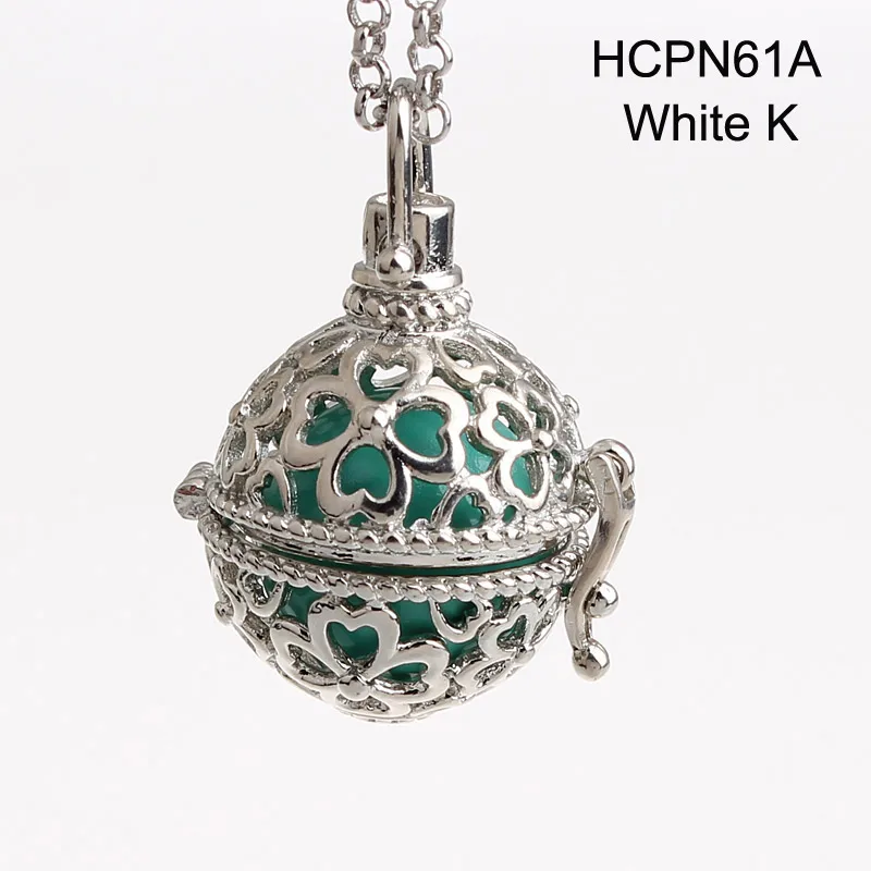 HCPN61A-1