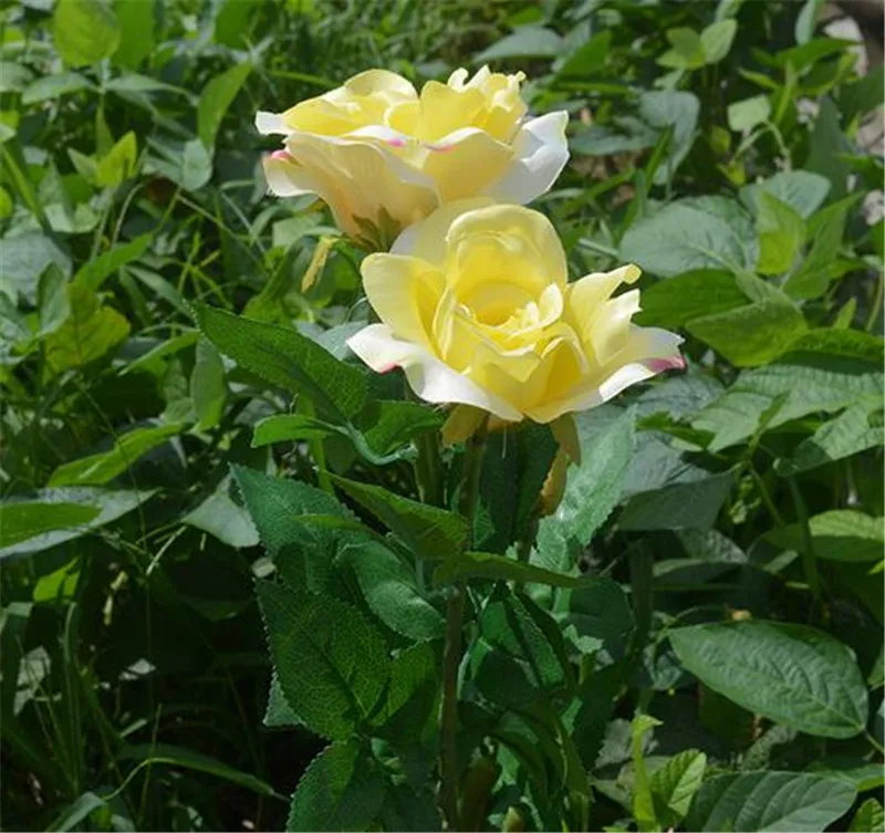 QQ20180510115420