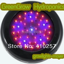 Blackstar светодиодный светильник для садоводства 150 Вт, светодиодный светильник для выращивания растений, построенный с 50 шт. 3 Вт светодиодами, Прямая поставка