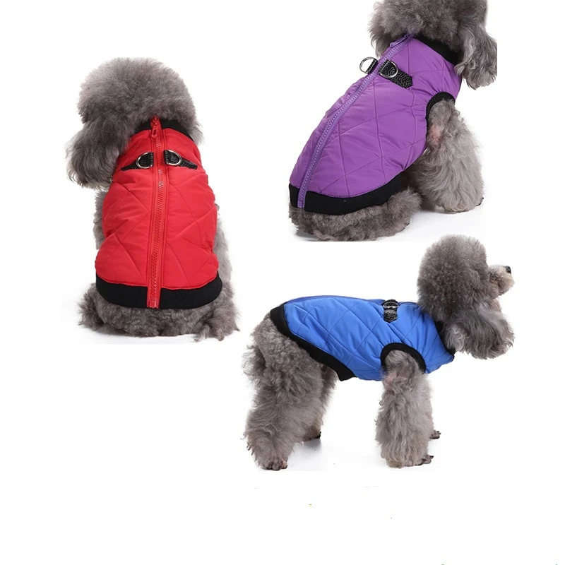 dog coat with buckles