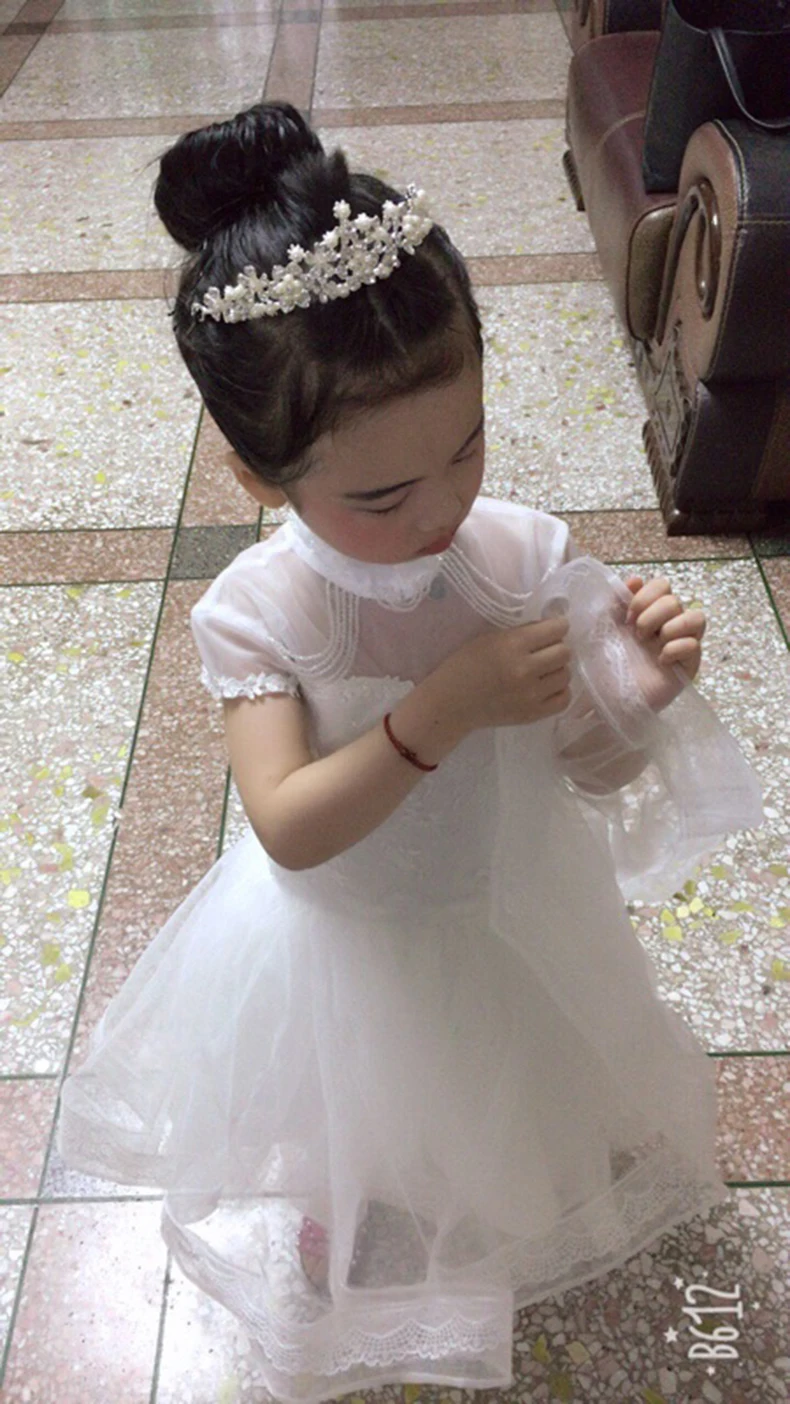 DGY024s (1)