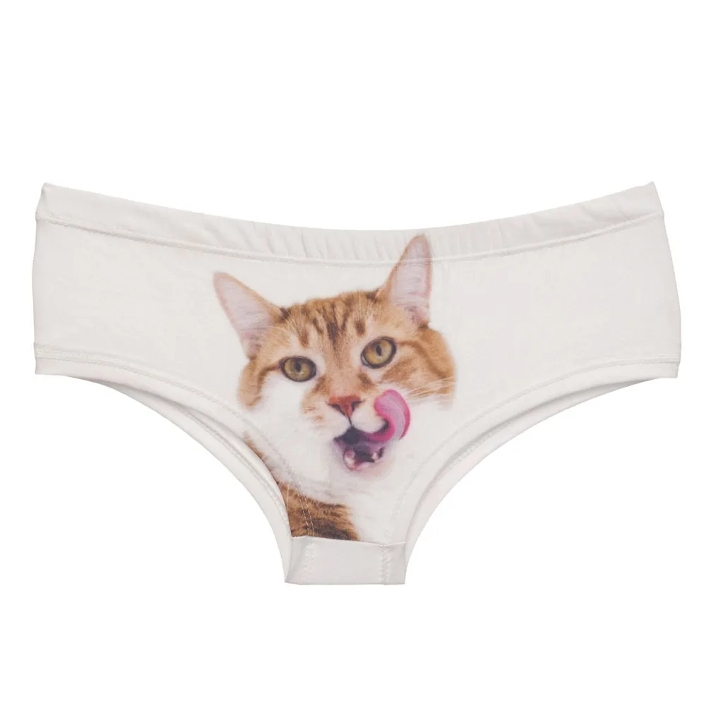 37057 LICKING CAT (3)