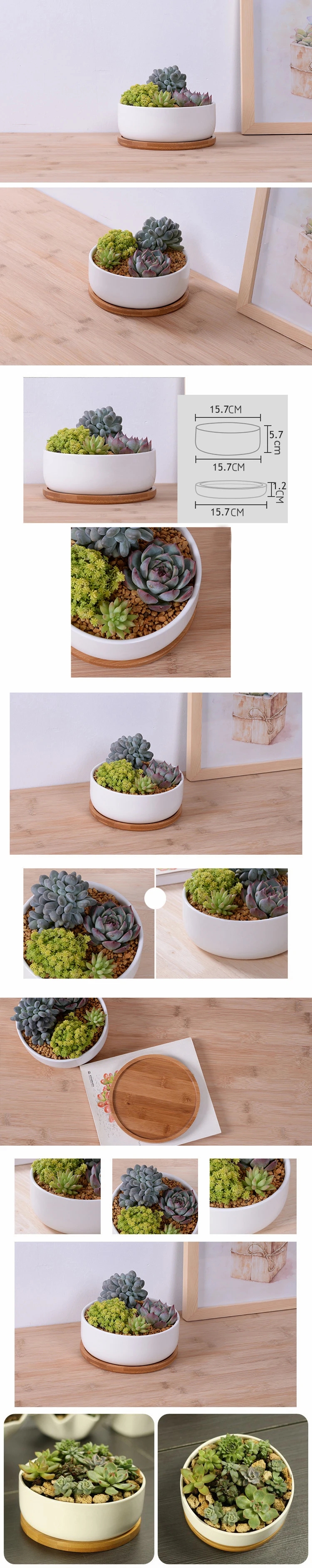 HTB1NfjhRXXXXXbgXVXXq6xXFXXXI