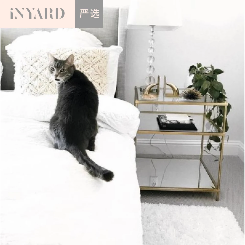 [InYard selected]Metallic gold silver, Nordic, modern, simple line, glass stainless steel, side table, edge a few