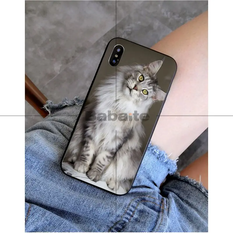 Babaite pet мейн-кун кошка черный мягкий силиконовый чехол для телефона чехол для Apple iPhone 8 7 6 6S Plus X XS MAX 5 5S SE XR Чехол для мобильного телефона s