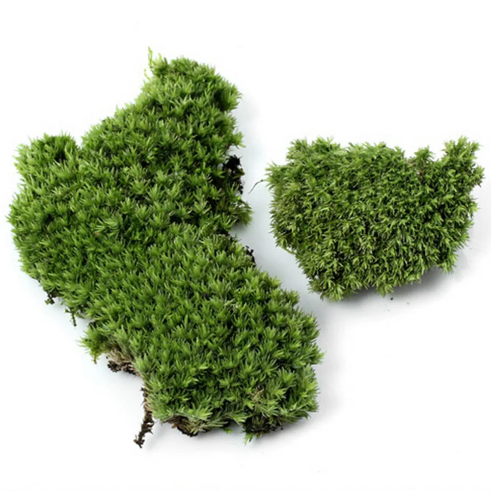 

1Pc Artificial Moss Plant Long Plush Stone DIY Miniature Micro Landscaping Home Garden Wedding Decoration Craft Accessories