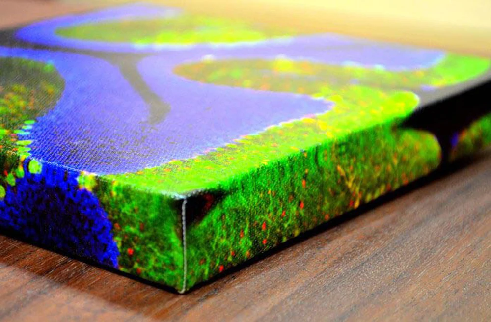 canvas-picture2