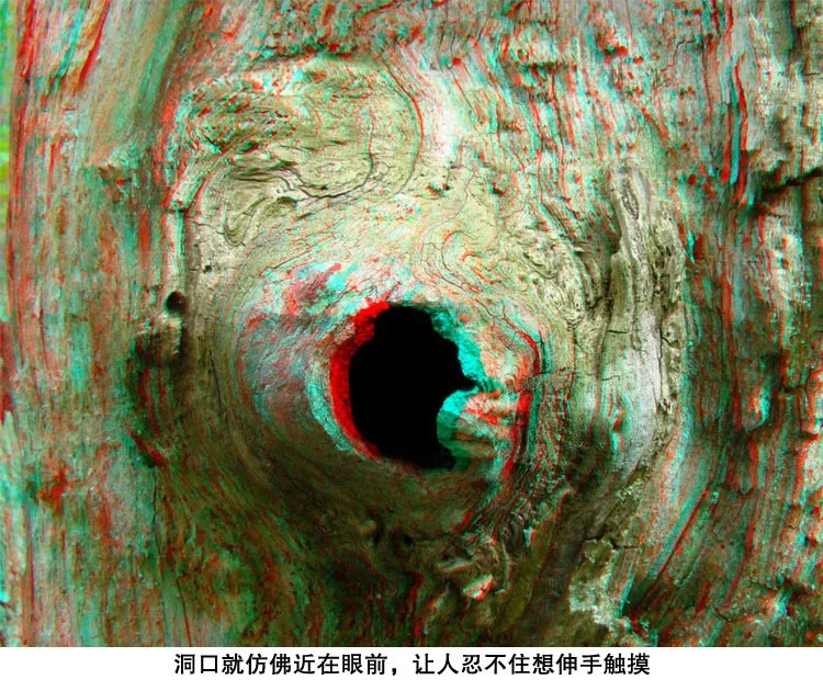 4366927410_1408821963