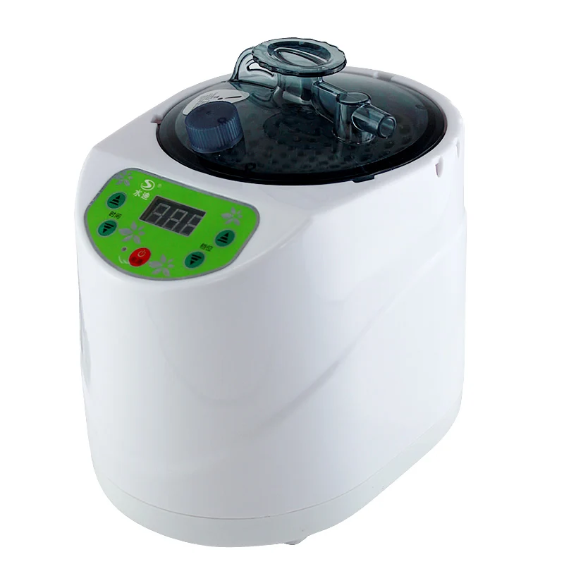  Home vapor generator 110V 220V EN/BSI Plug 1000W Capacity 2L Steamer Pot Spa for steam sauna Wooden