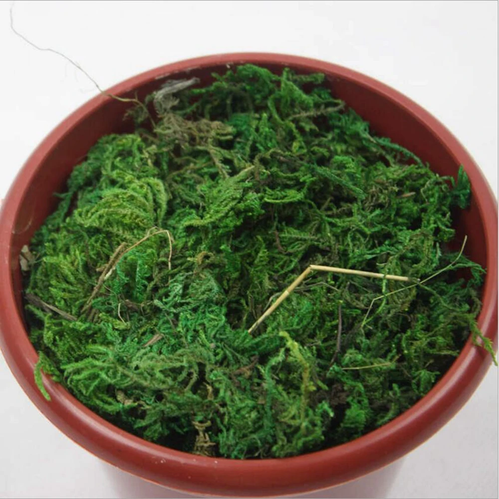 40g/Bag Artificial Flower Dried Reindeer Moss for Garden Home Decoration DIY Craft Flower Bonsai Basket Plant Wedding Turf Decor 40g/Bag Artificial Flower Dried Reindeer Moss for Garden Home Decoration DIY Craft Flower Bonsai Basket Plant Wedding Turf Decor