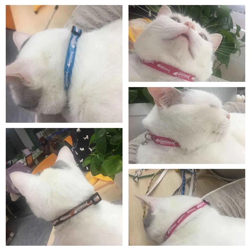 cat collar (6)