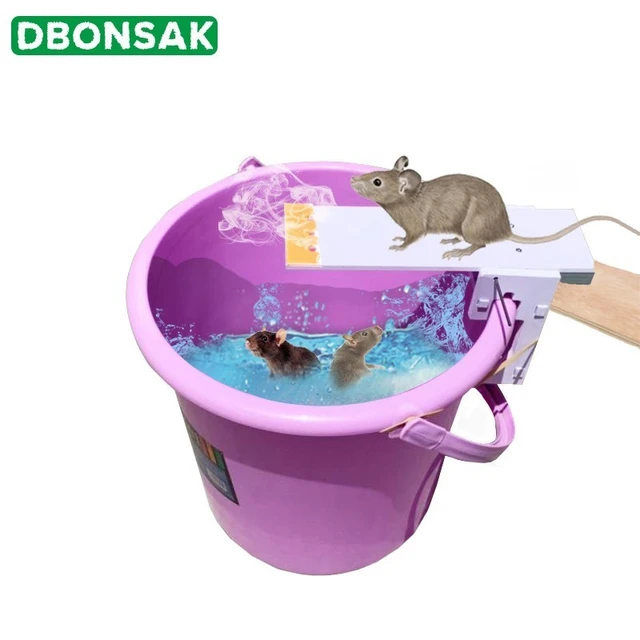 DIY Home Garden Pest Controller Rat Trap Quick Kill Seesaw Mouse