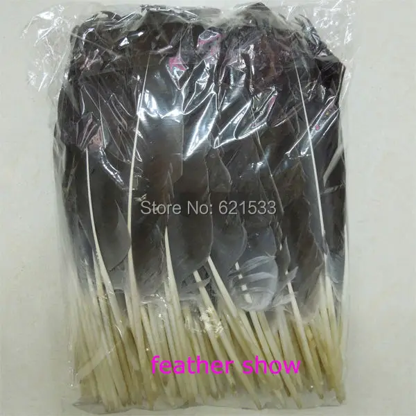 FD045 (1)
