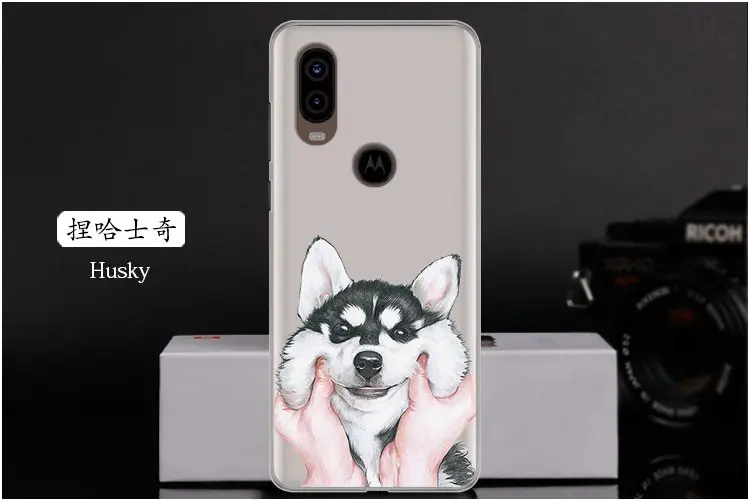  Husky