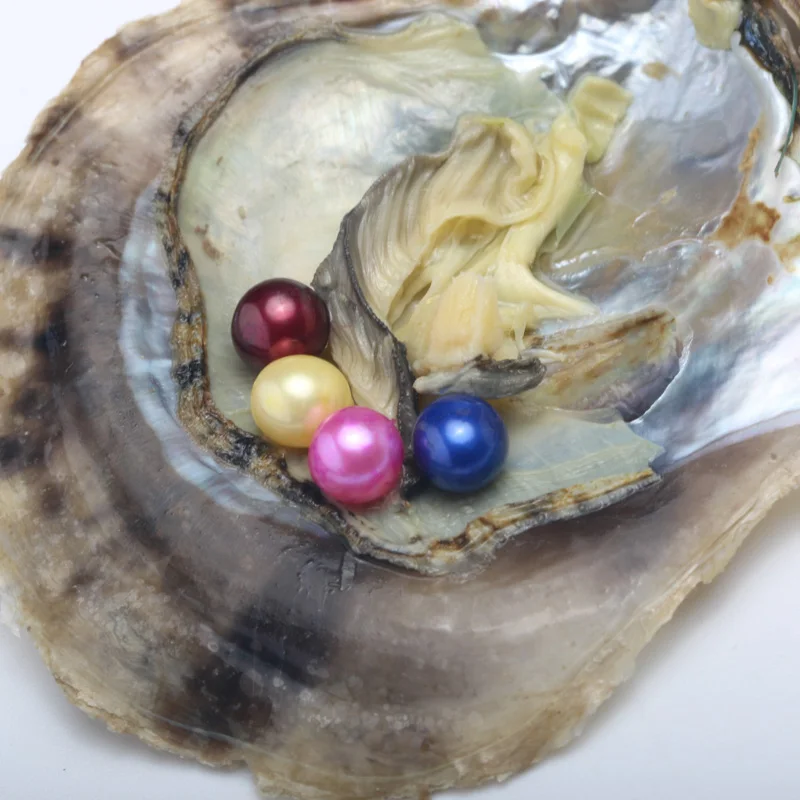 9 шт. морской Oyster комплект Класс AAA 7 8 мм 25 Цвета круглый пресноводной жемчужиной в