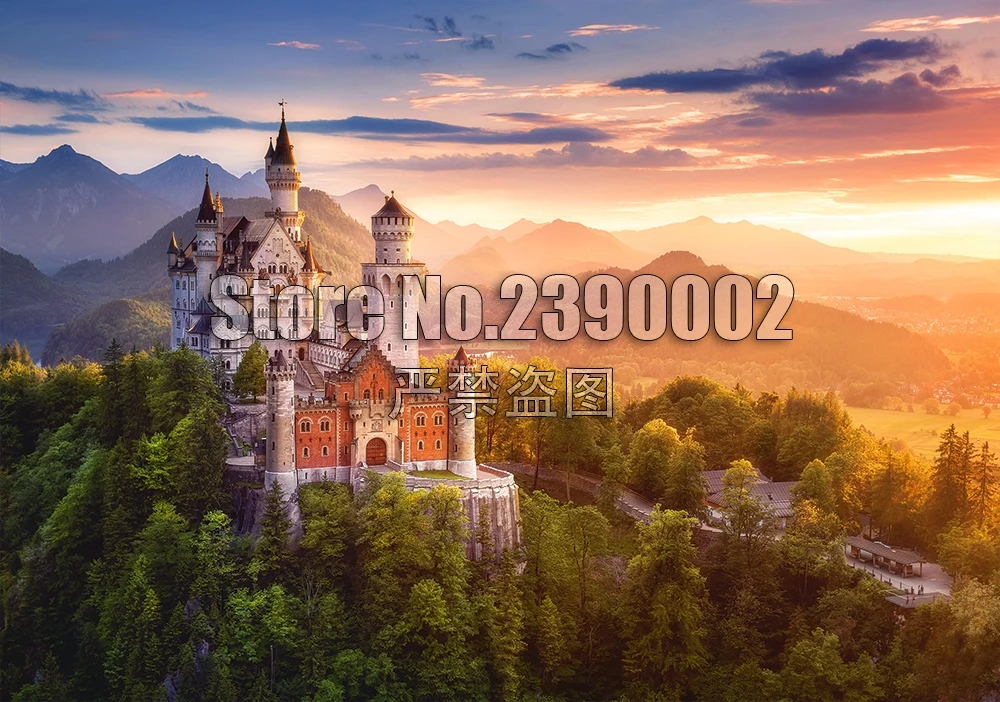 

5D Diy Diamond Painting Full Diamond Mosaic Drill Diamond Embroidery View of Neuschwanstein Castle, Germany Art Home Decor Gifts
