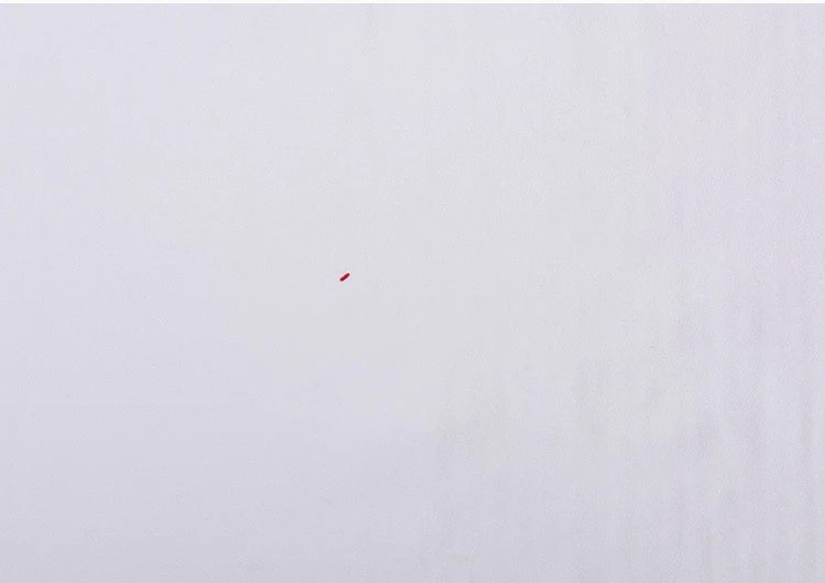 4300413825_278699780